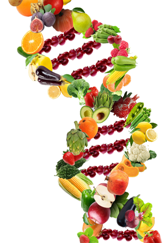 Nutritional Theraphy, Food DNA, Jamie Falcon Wellness